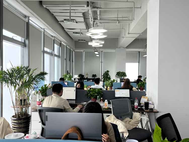 shandong qinghe team