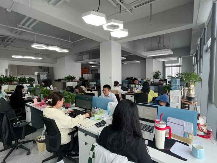 shandong qinghe team